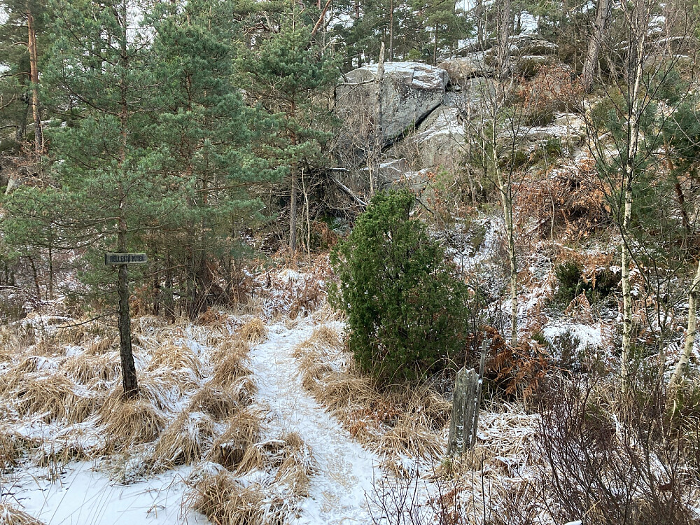 Stien opp til Hellerstønuten