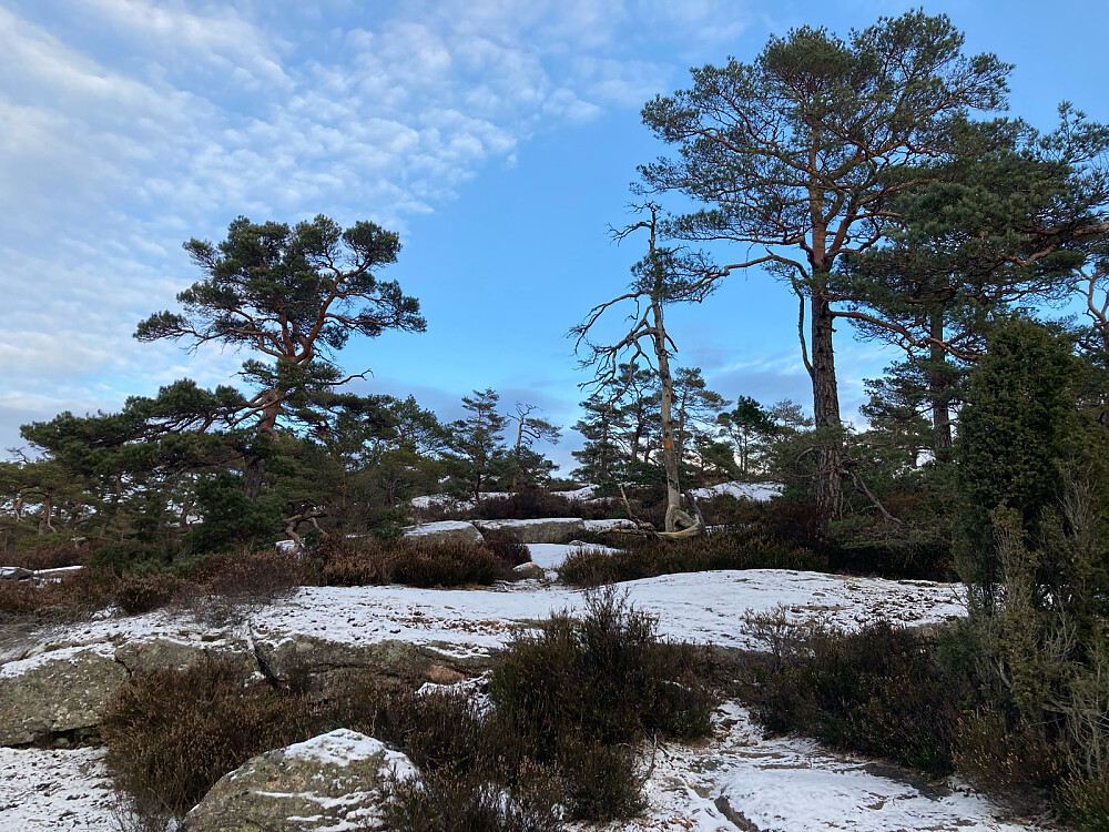 Orangemerket sti ned fra Hellerstønuten