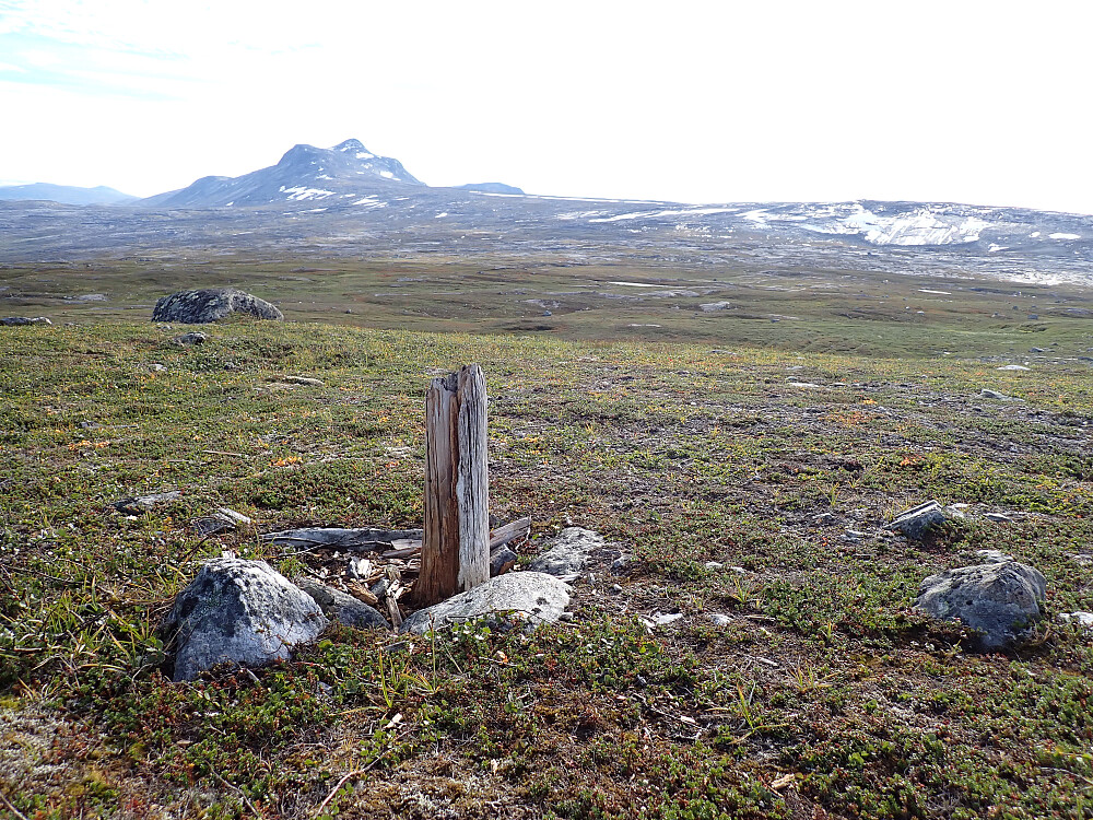 Rester av telegrafstolpe