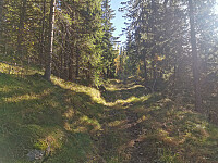 ovega_20251012_68ebb6a0479ac.jpeg