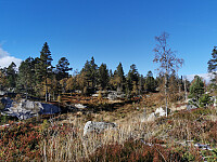 ovega_20251012_68ebb6a3f219f.jpeg