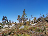 ovega_20251012_68ebb6a828bef.jpeg