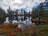 ovega_20251012_68ebb6ab7d2a8.jpeg