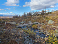 Bro 3 fra Storeskag til Skriurusten