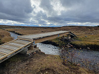 Bro 1 fra Storeskag til Skriurusten