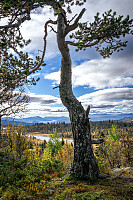 LarsStorheim_20250918_68cbcef5e2ca8.jpg