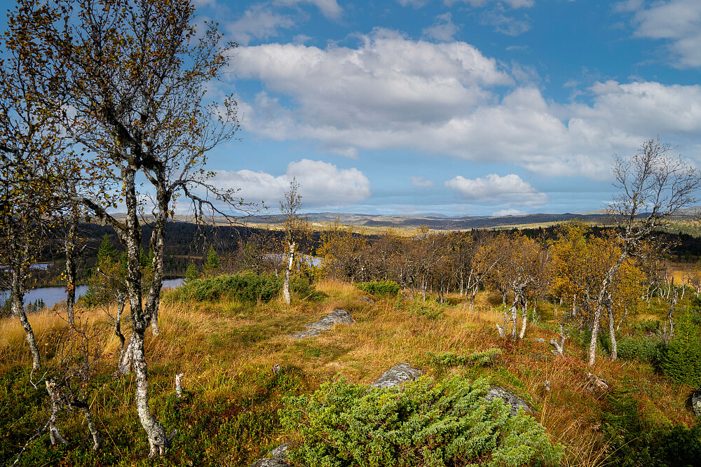 Fra toppen av Lyserhøgde, 1073 moh.