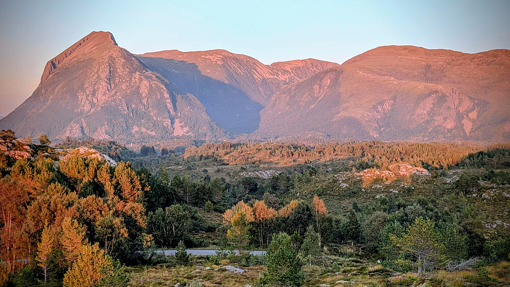 Rørsethornet bakenfor 