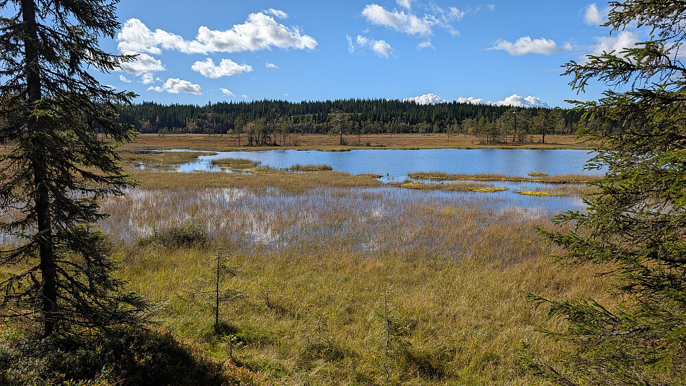 Vått