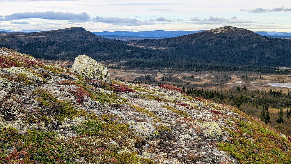 Mot Dokkampen og Ormtjernkampen 