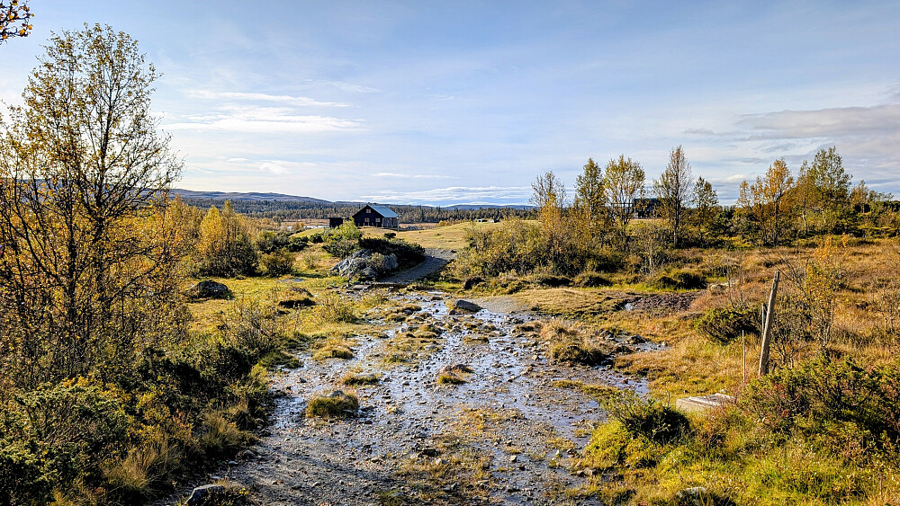Ved Tronhus 