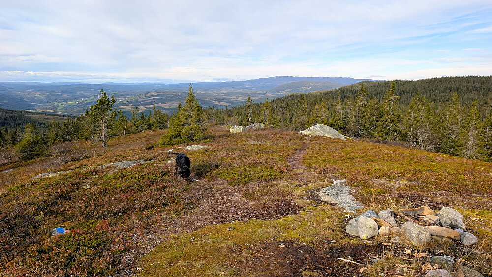 På Skinnerlifjellet