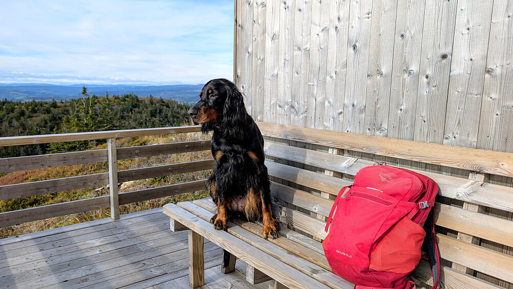 Ved gapahuken på Krokvassfjellet