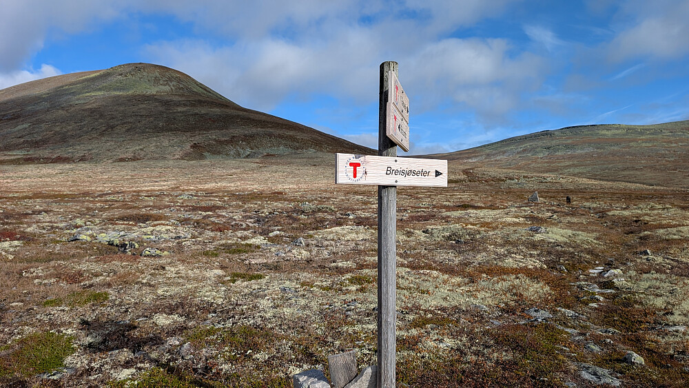 Topp nr to til venstre. Eriksrudhøe (1535 moh)