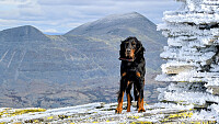 Atomsilda_20250923_68d2e713ab3e3.jpg