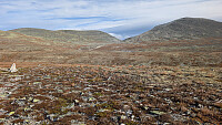 Atomsilda_20250923_68d2e725c4b44.jpg