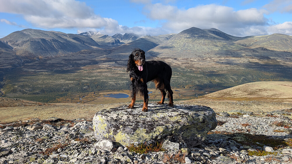 På Straumbukampen (1243 moh)