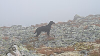 Atomsilda_20250927_68d8123f9b360.jpg