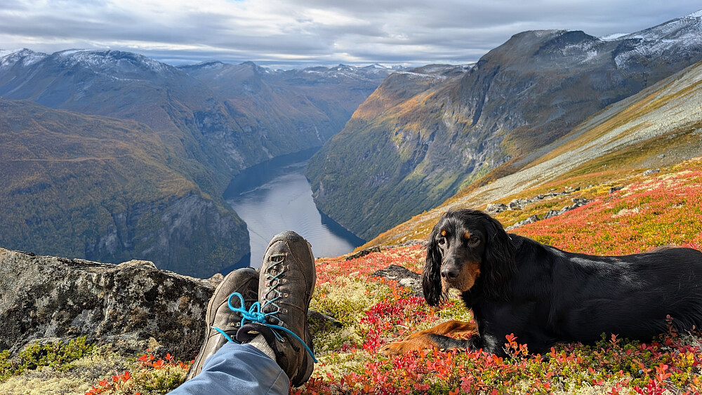 Rå utsikt