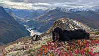 Atomsilda_20250930_68dbe5f9a42f6.jpg