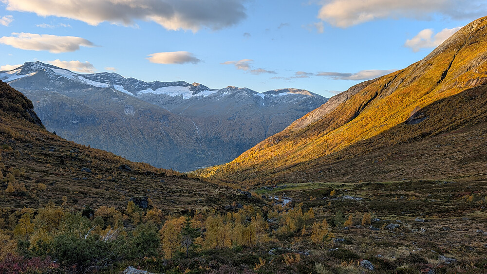 Morgenstemning i Furedalen. Storskredfjellet bakenfor