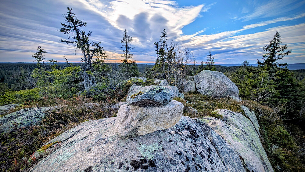 Høgbrenna