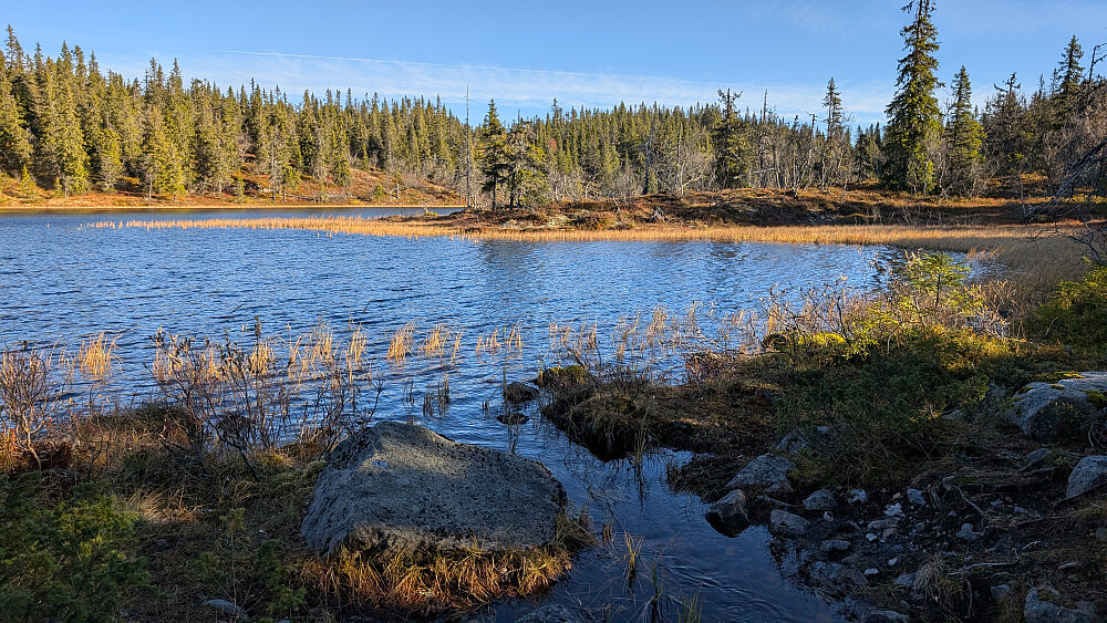 Abbortjern 