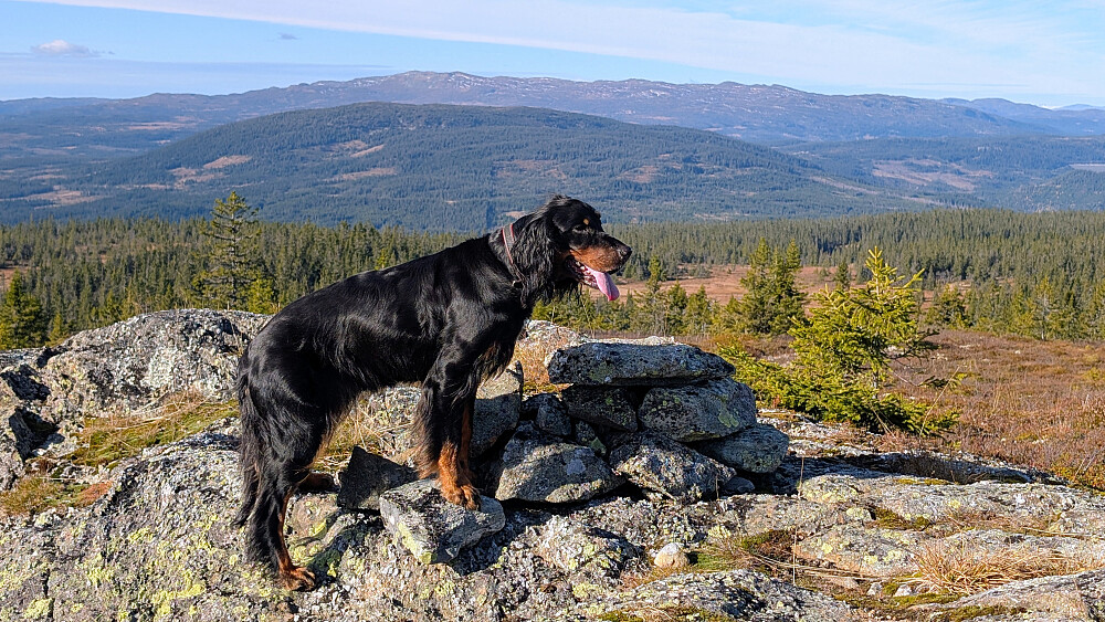 Nylsfjellet i forgrunnen og Synnfjell bakenfor