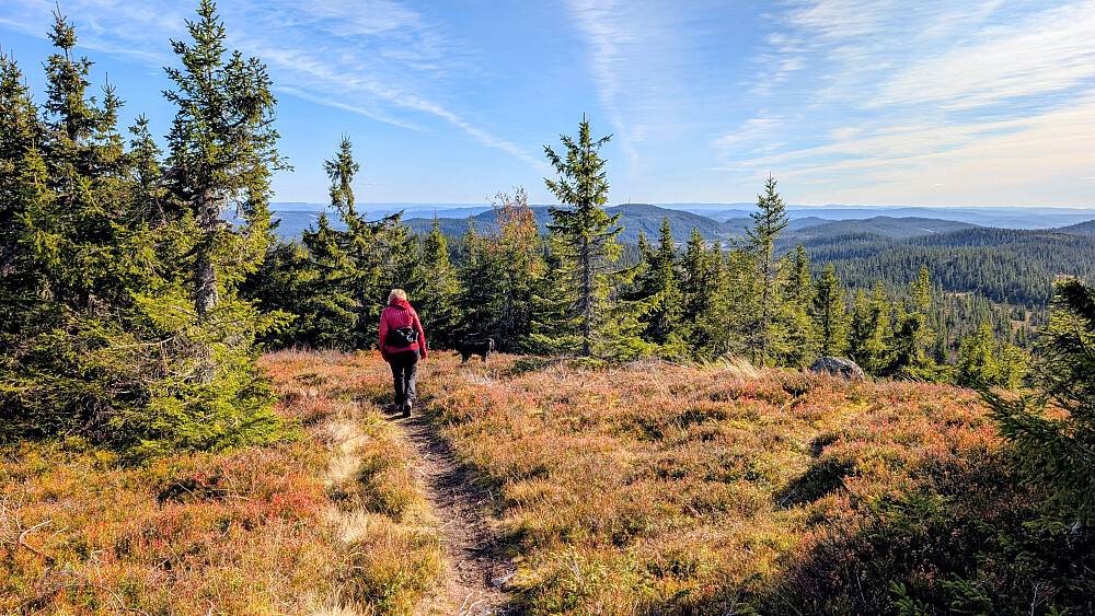 Noen få meter fra varden på Krokvassfjellet...retning mot Kråkhuggu