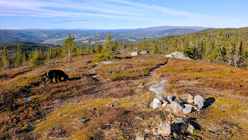 På Skinnerlifjellet 