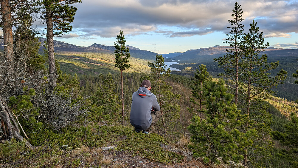 Mot Espedalen og Dalseter 