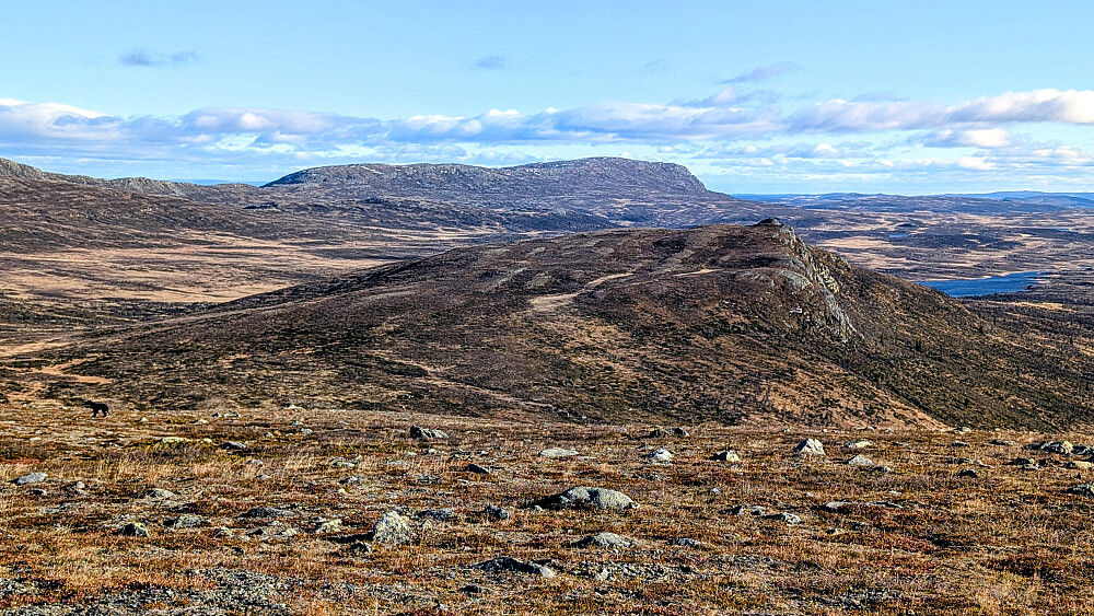 Brennhøa (1244 moh) midt i bildet