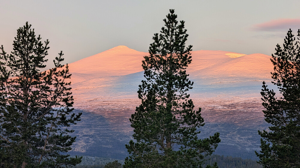 Nautgardstind i herlig morgensol