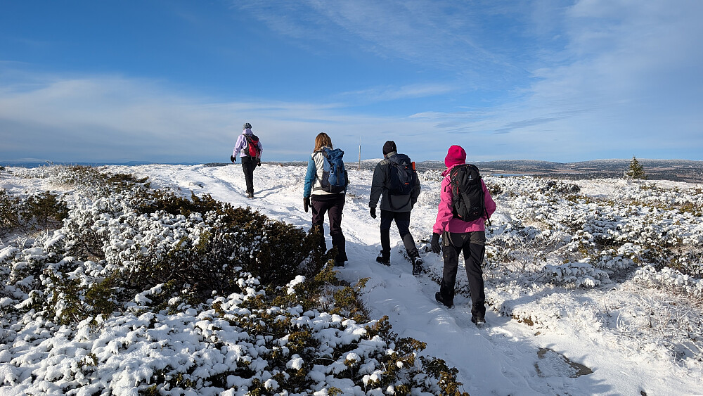 Sola brøt mer igjennom på hjemveien og lyset ble anderledes