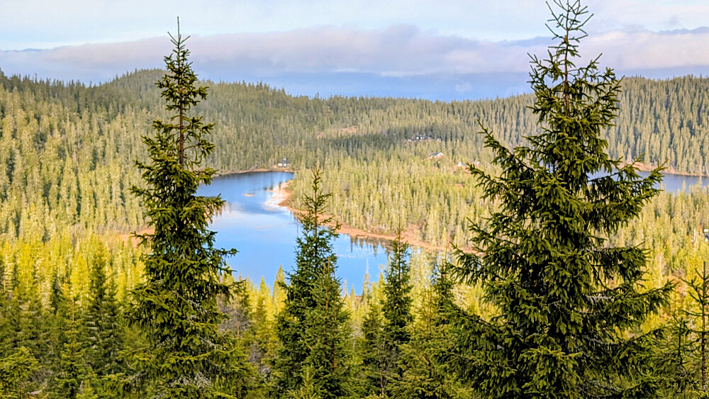 Fugletjernet og Hervavatnet 