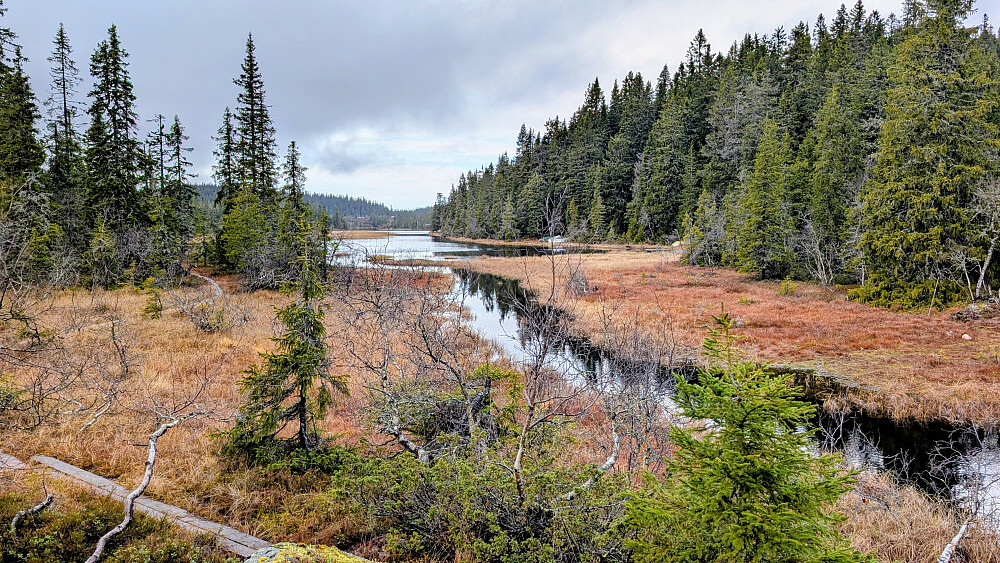 I sørenden i Hervavatnet 