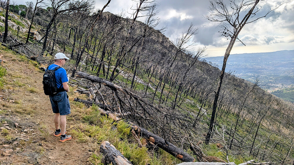 Her har det vært skogbrann