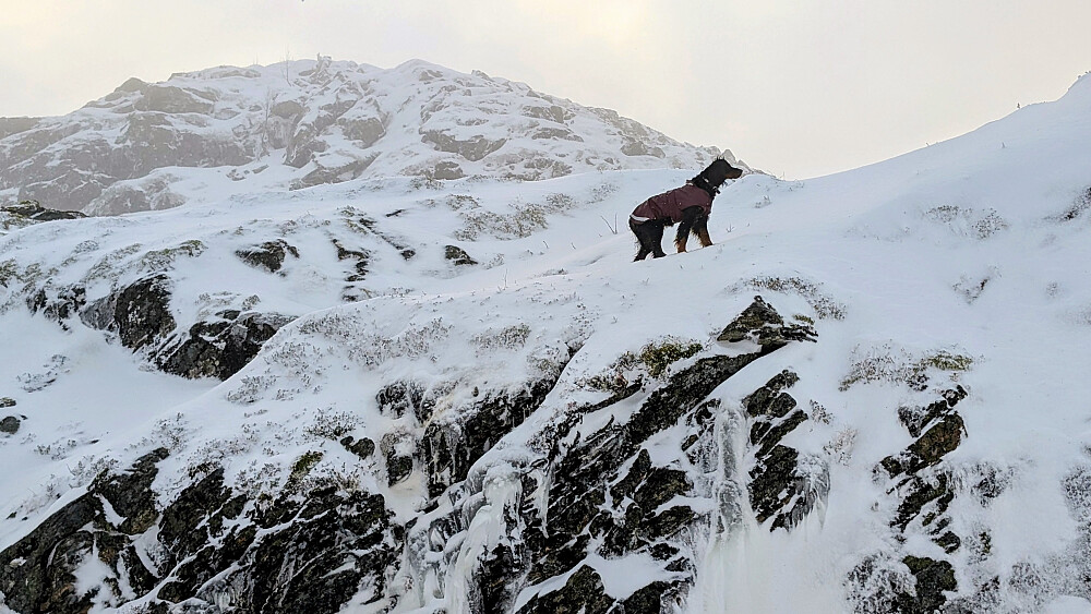 Vinterlig ved havet idag.