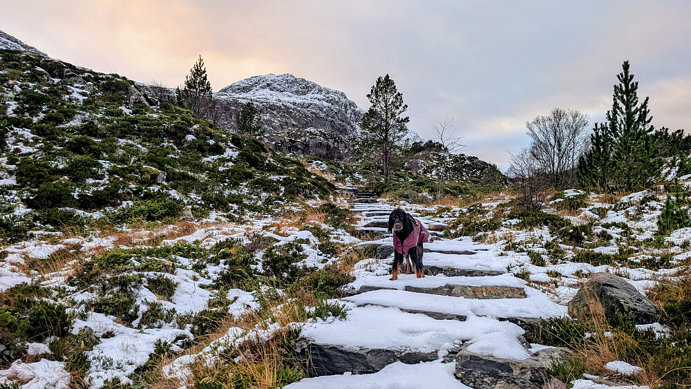 Et lite gyllent øyeblikk på vei ned