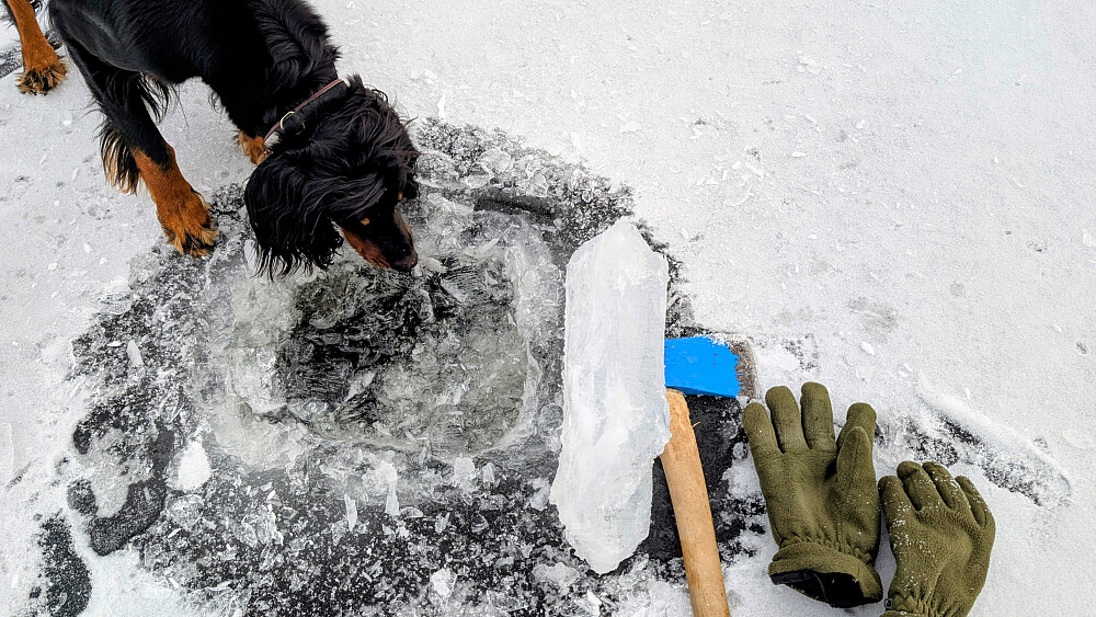 Test av isen i Øvre Svartvatnet