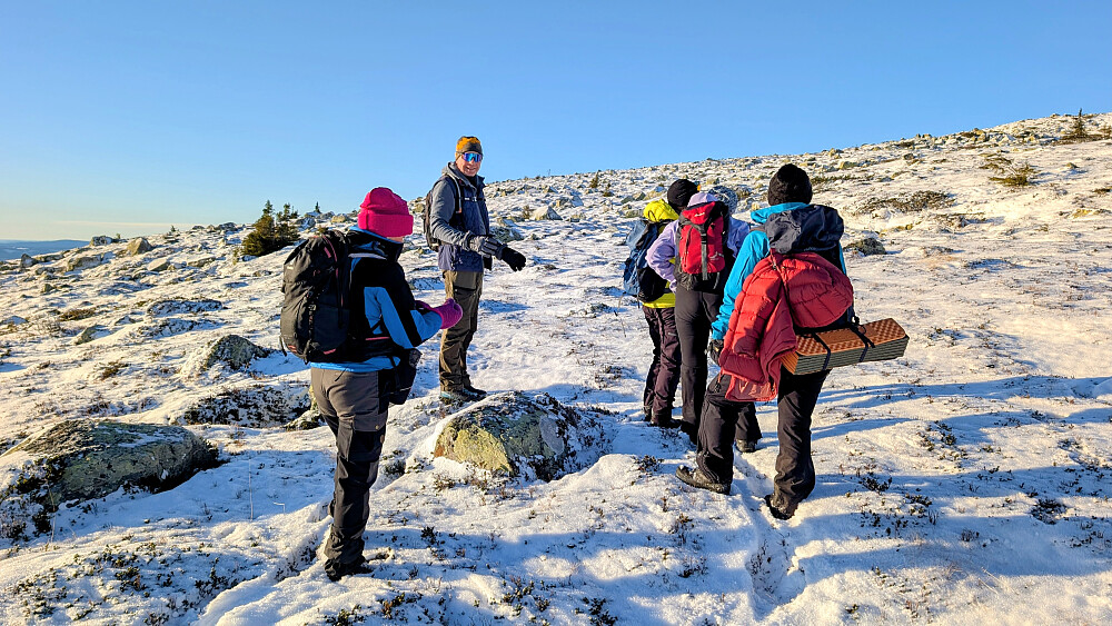 Leting etter kunsten