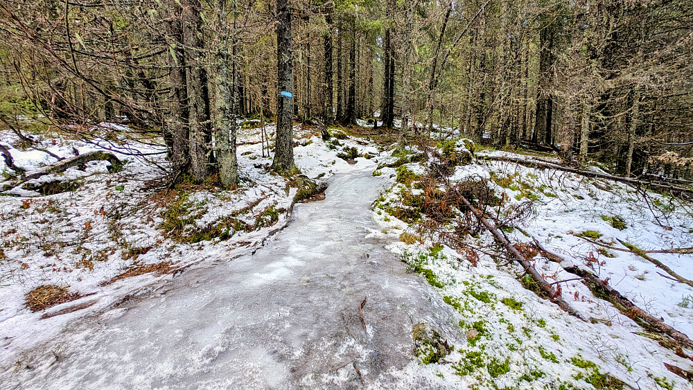 Glatt i de nederste partiene