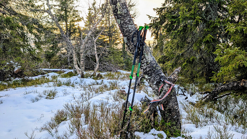 På toppen! Denne gangen nr 523.