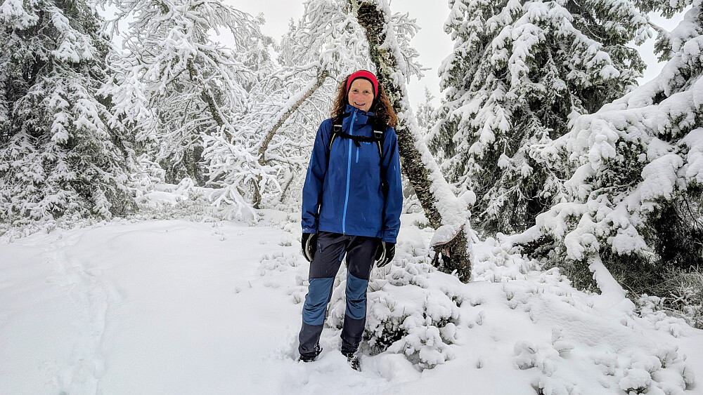 På toppen av Torsæterkampen