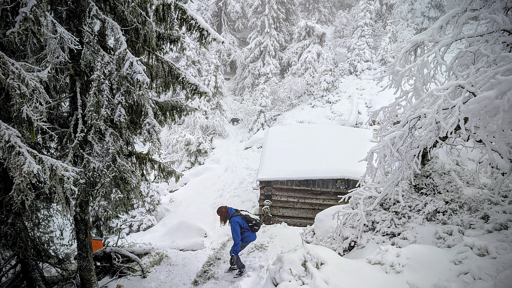 Ved Hjemmefronthytta