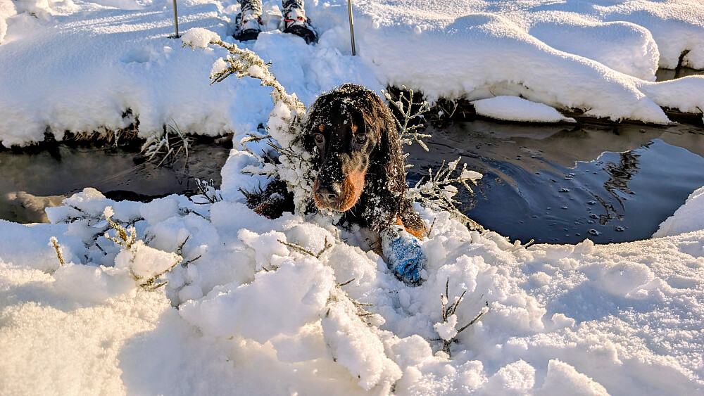 Embla sklei på sokkene og gikk i bekken gitt!!
