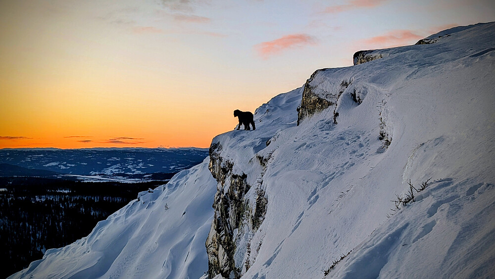 Embla nytet fjellivet