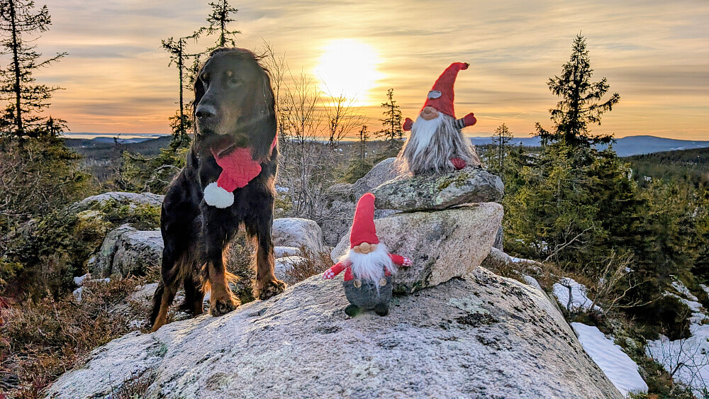 Solsnu på Høgbrenna