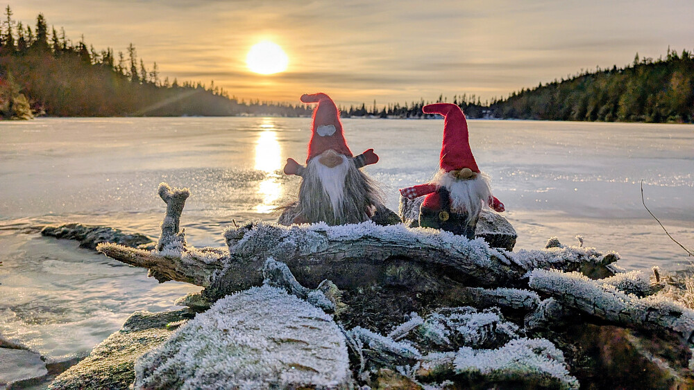 Nissene ved Vestre Ormtjern 