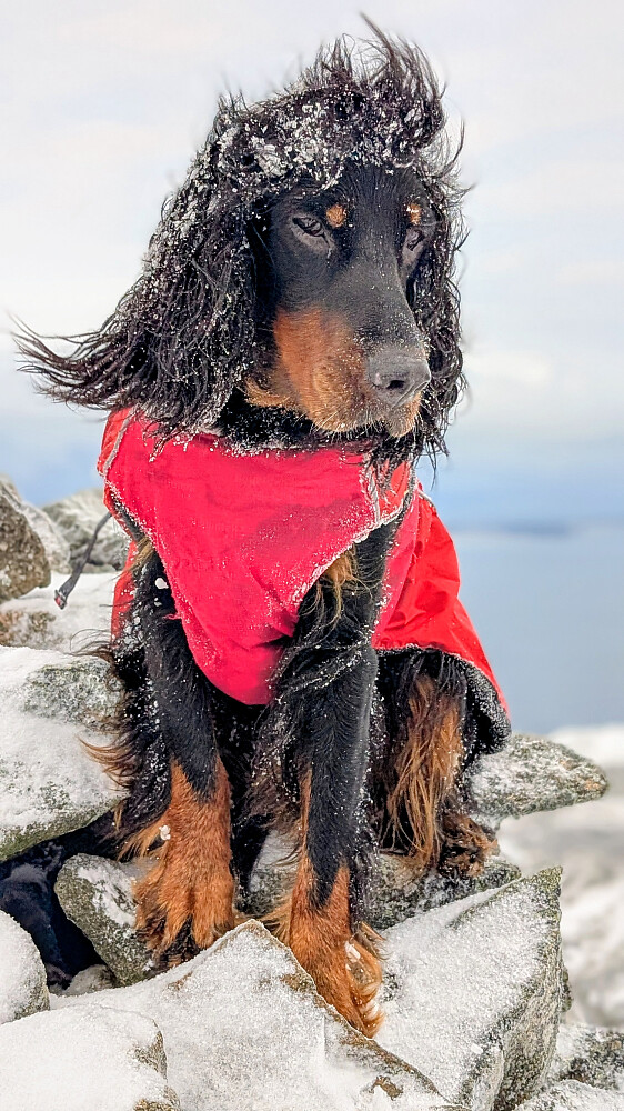 Hun klager aldri, men hustrigt idag.